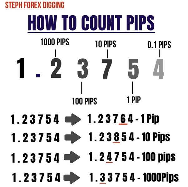 How to count pips in forex