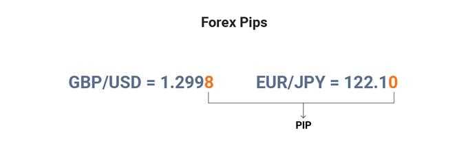 What are forex pips