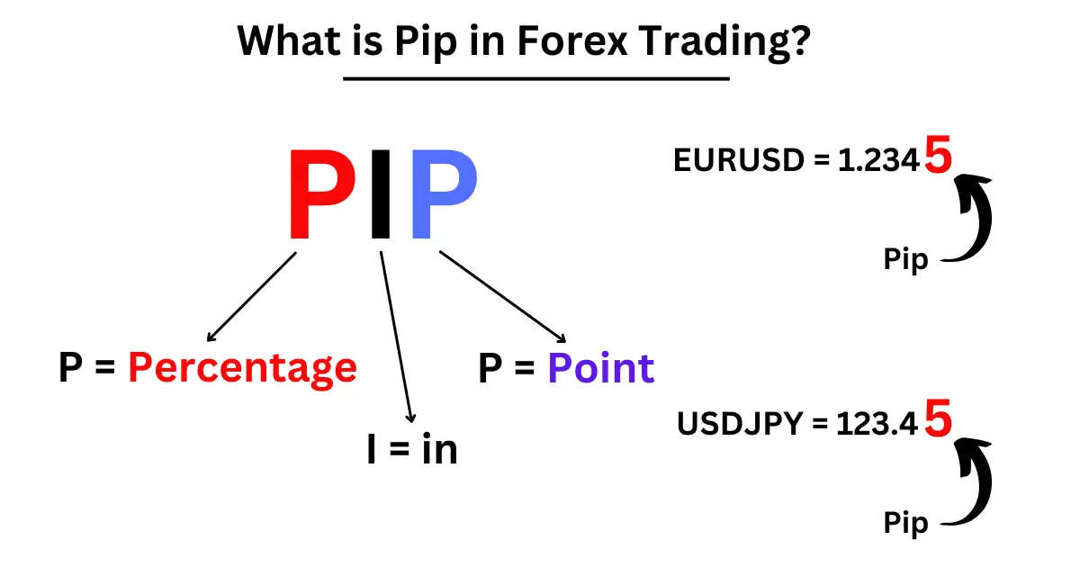 What does pip stand for forex
