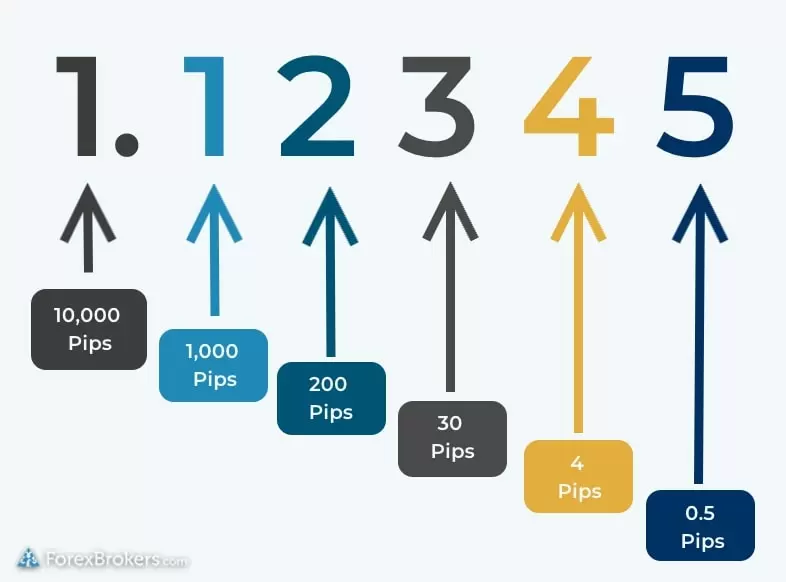 What does pips mean in forex