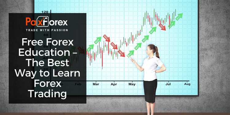 Where to learn forex trading